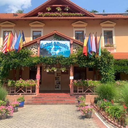 ホテルVila Cerbul Albastru モネアサ エクステリア 写真