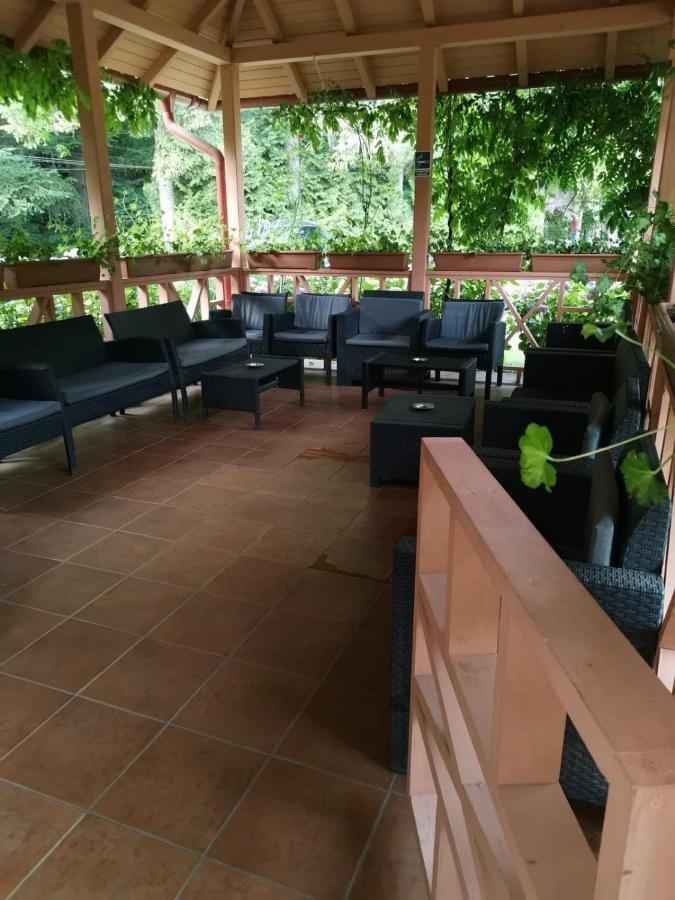 ホテルVila Cerbul Albastru モネアサ エクステリア 写真