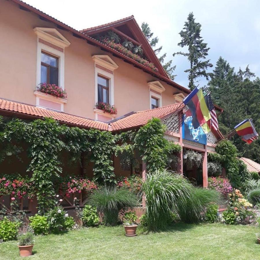 ホテルVila Cerbul Albastru モネアサ エクステリア 写真